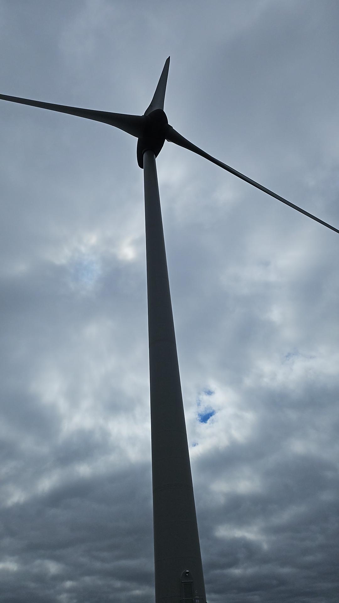 Bettyhill-Case-Study 1