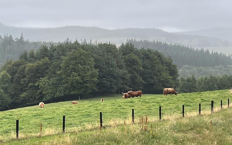Macallan-Distillery-farmland---small