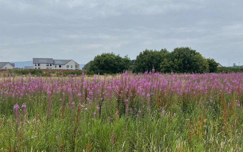 Stratton-Case-Study-1-thumbnail