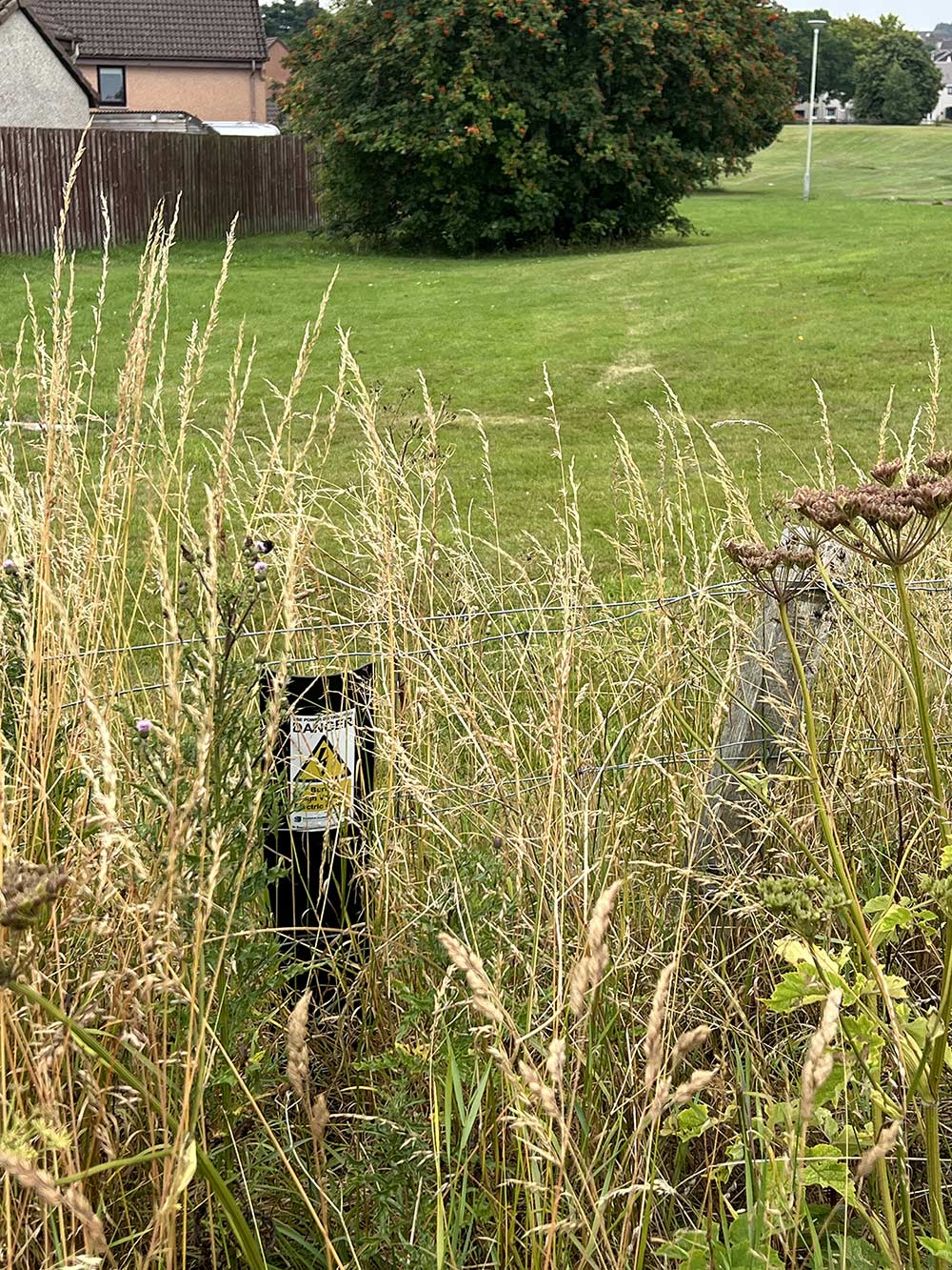 Stratton-Case-Study-1