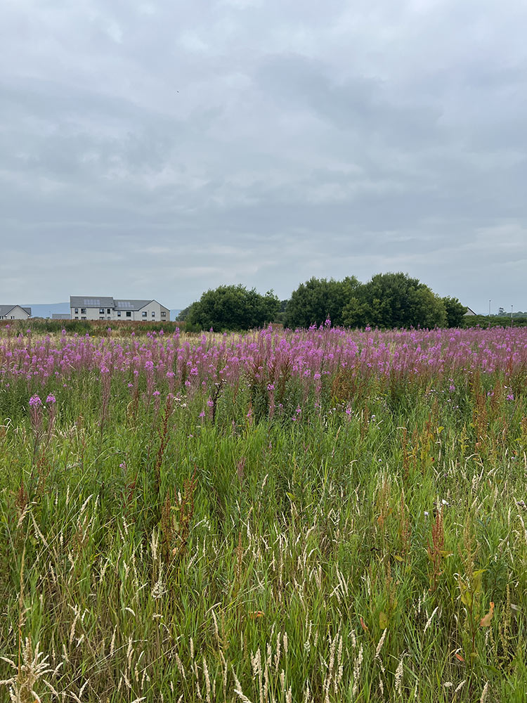 Stratton-Case-Study-2